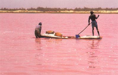 VOICI LE LAC ROSE